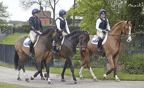 Champion Freedom and Vanguard body protectors