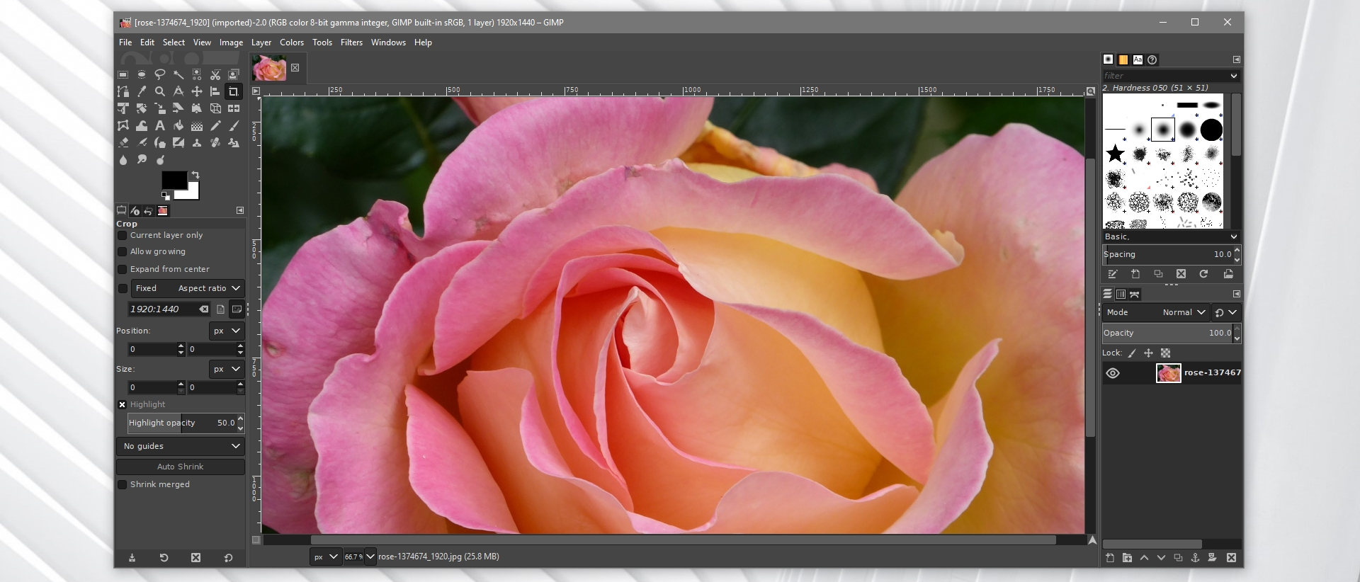 the gimp photo editor for mac