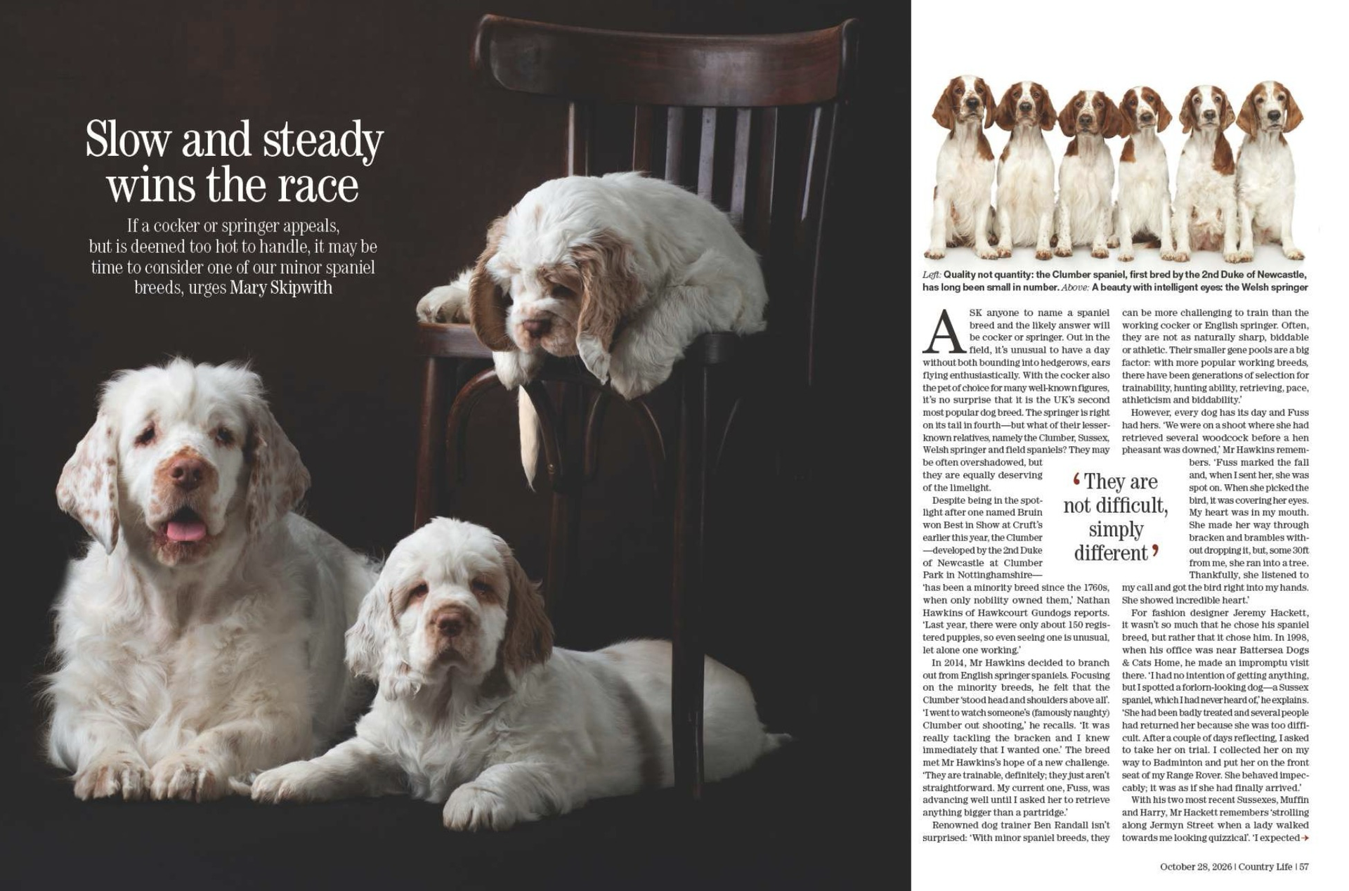 Spread from Country Life October 28, 2026