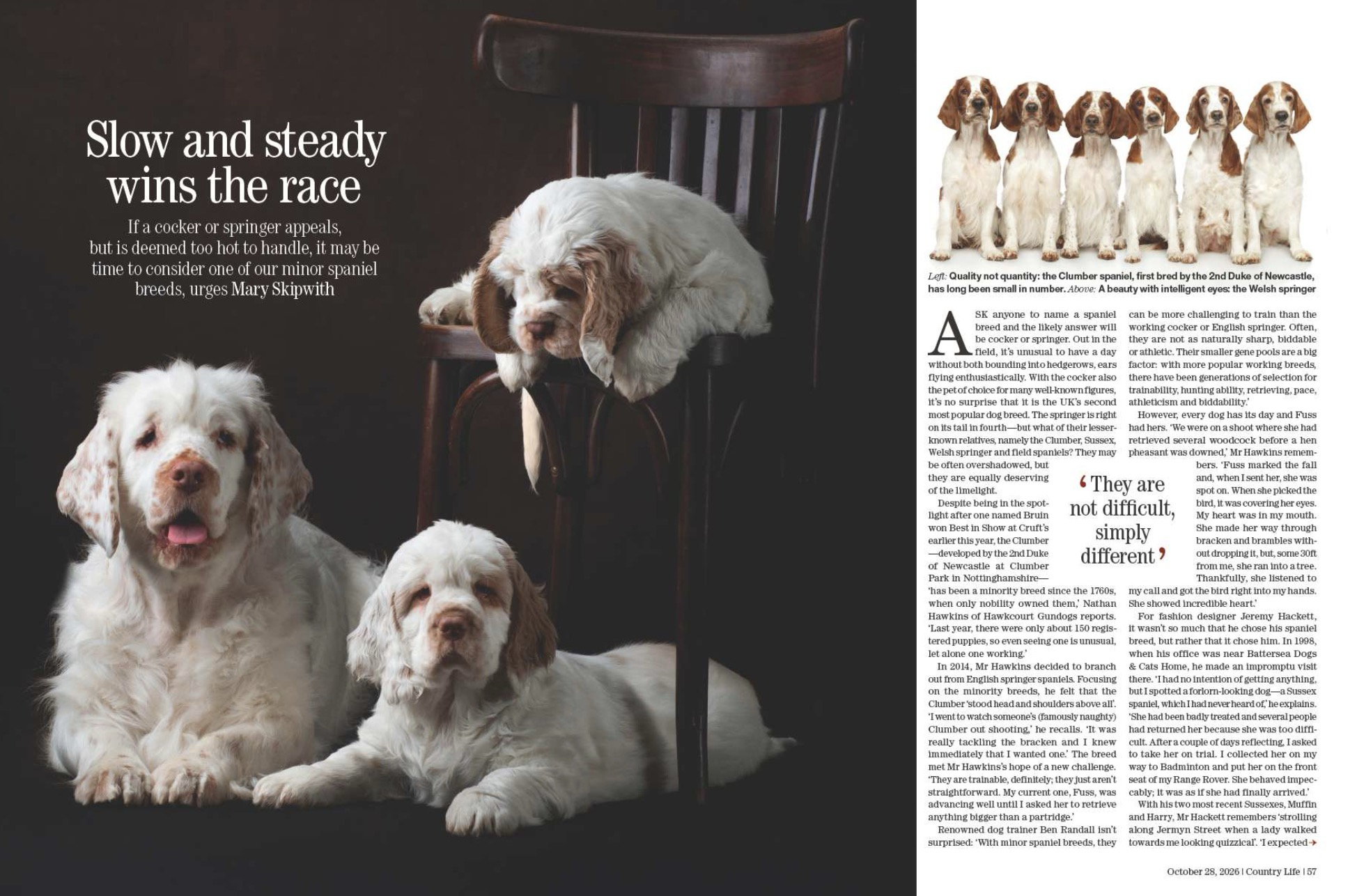Spread from Country Life October 28, 2026