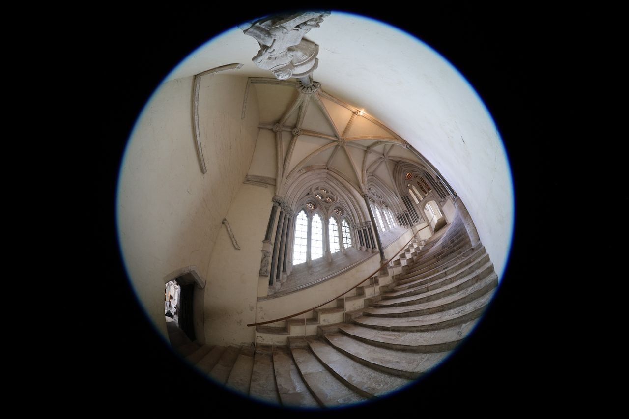 Canon RF 7-14mm f/2.8-3.5L Fisheye STM sample image