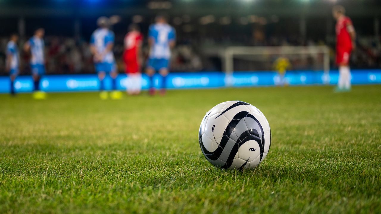 World Cup of Wines: Four perfect bottles