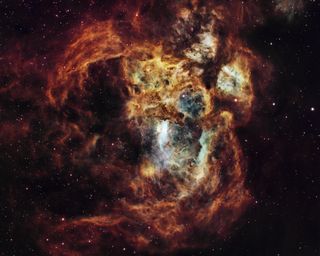 Fiery Lobster Nebula © Suavi Lipinski