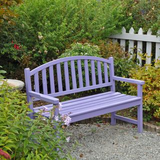 A garden bench painted violet