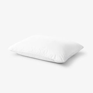 LaCrosse Down and Feather Pillow against a white background.