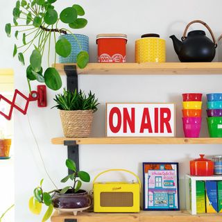 Wooden shelves displaying various colourful decorative items and houseplants