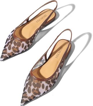 GedNvwUUQBwqEXG4J5iwjA-320-80 تسوق 29 Top Amazon Shoe Seals قبل الجانو