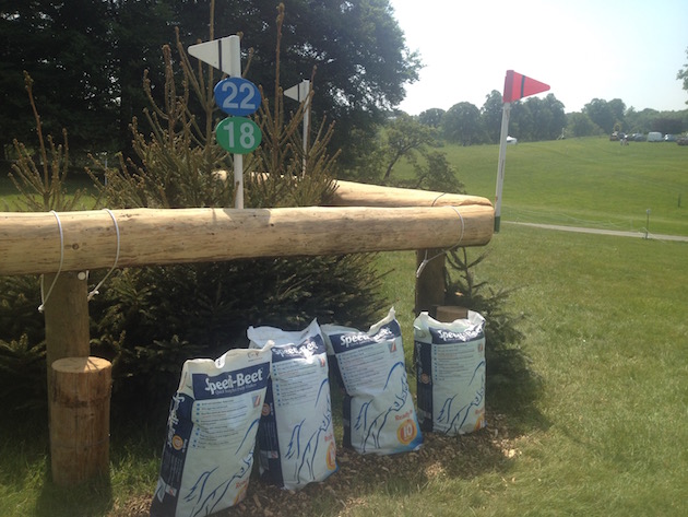 Bramham2015CCI22