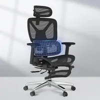 Flexispot ErgoX Premium Ergonomic Office Chair | $419.99$249.99 at AmazonSave $170 -