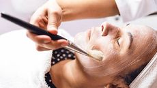 A close up of a person applying a face mask to her client using a brush.