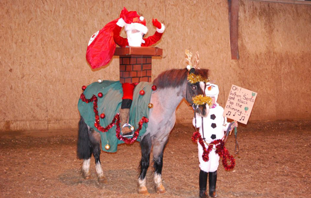 Rider xmas traditions - web feature