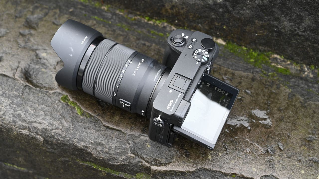 Sony A6600