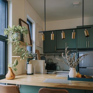 kitchen with potted houseplants and dark green cabinets