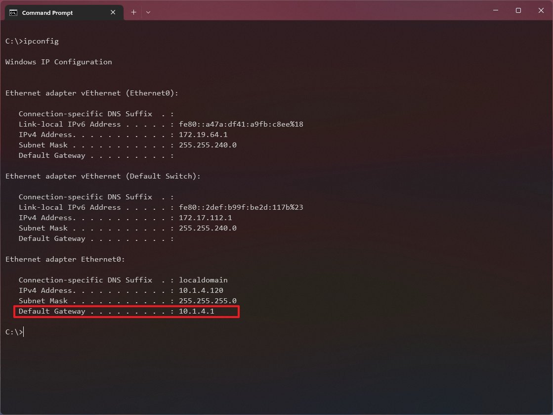 Windows 11 ipconfig command