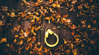 Top down view of dried autumn leaves and yellow headphones on wooden planks
