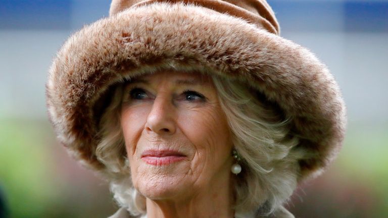 Duchess Camilla of Cornwall attends the November Racing Weekend at Ascot Racecourse