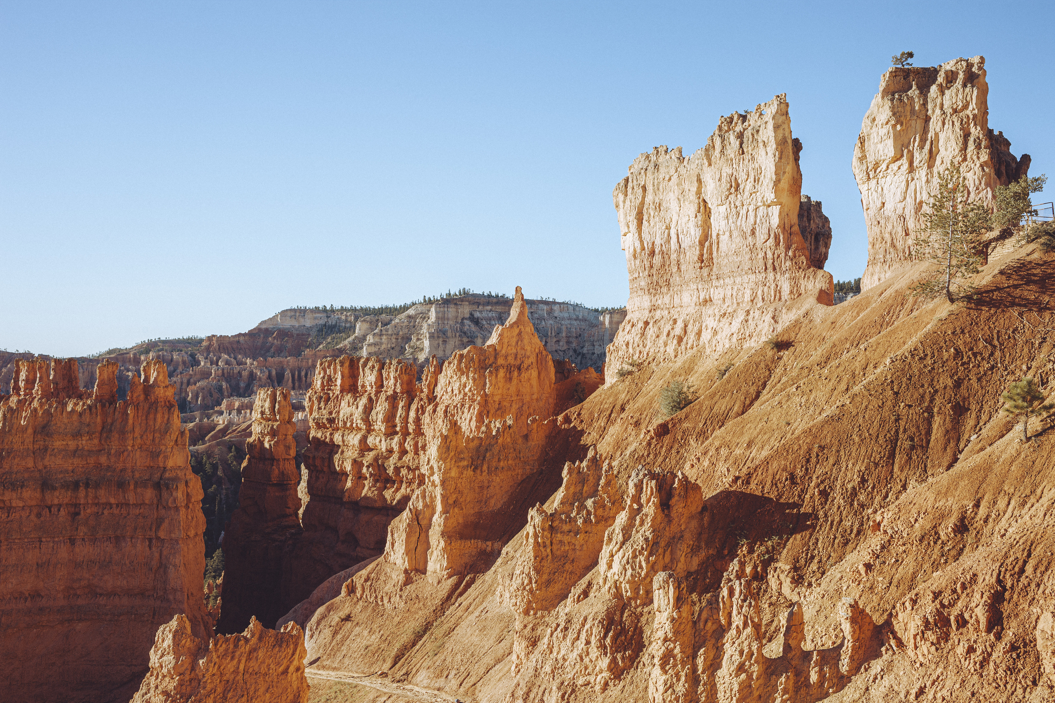 USA, Utah, Bryce Canyon National Park, sandstone rock formations at sunrise