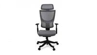 FLEXISPOT Ergonomic Task Back-Support Chair