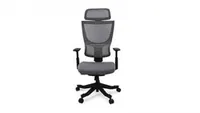 FLEXISPOT Ergonomic Task Back-Support Chair
