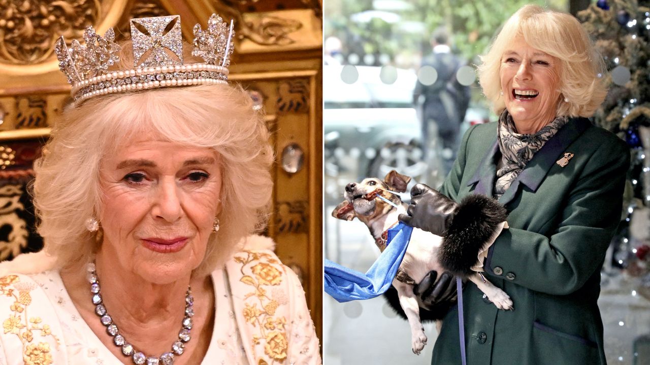 Queen Camilla looks sad while wearing a sparkly crown and she holds her dog Beth while wearing a green coat