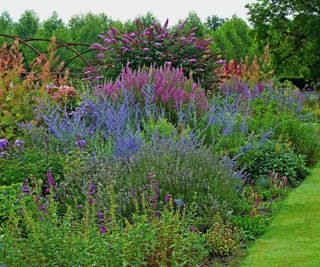 Densely planted and colourful flower bed