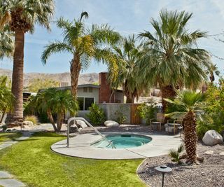 small backyard swimming pool with palm trees