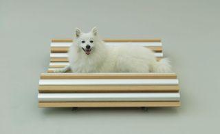 Dog Cooler by Hiroshi Naito