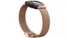 Fitbit Stainless Steel Mesh Band