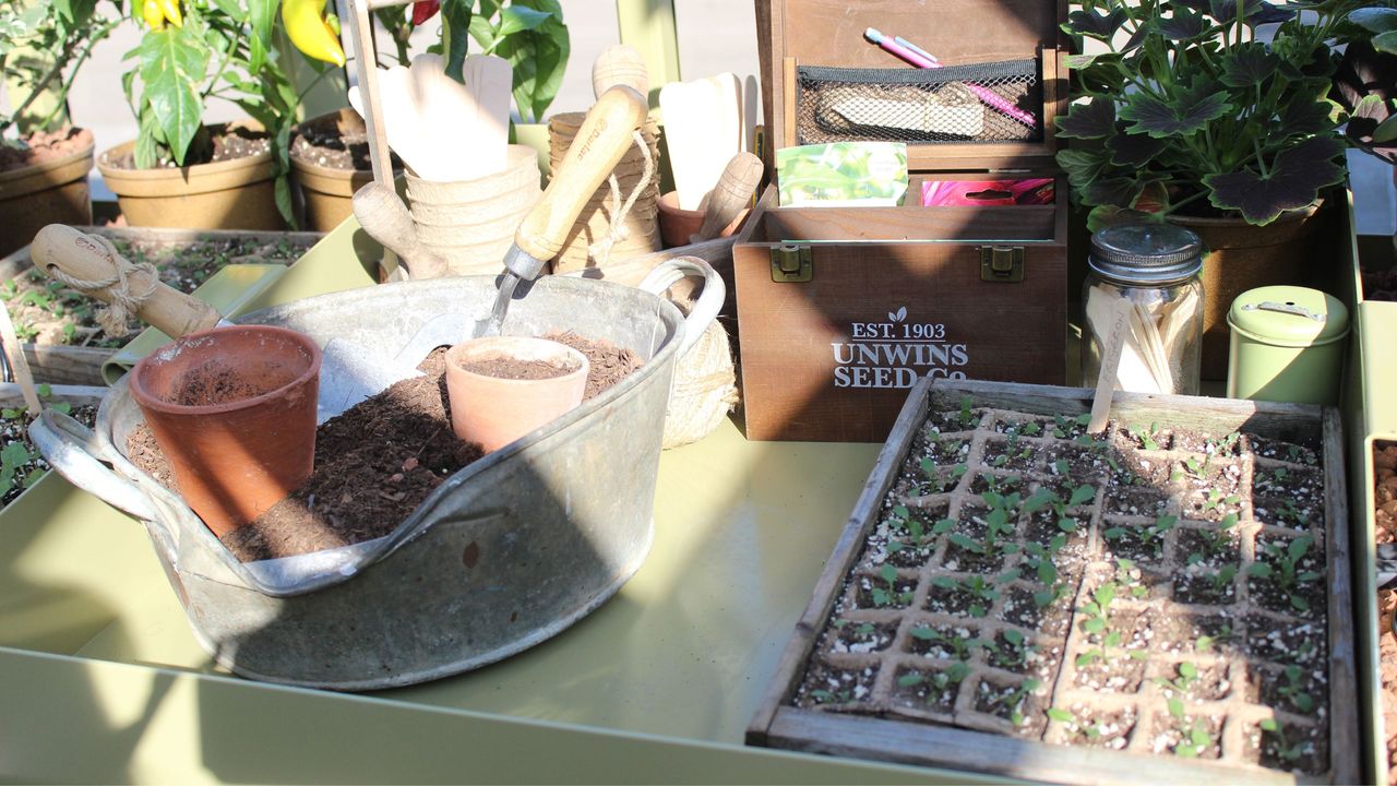 Potting area with seedlings and terracotta pots at RHS Chelsea Flower Show 2024