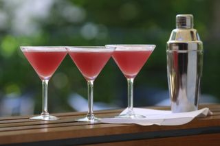 The Cosmopolitan cocktail has become one of the most popular drinks since SATC ushered in a revival