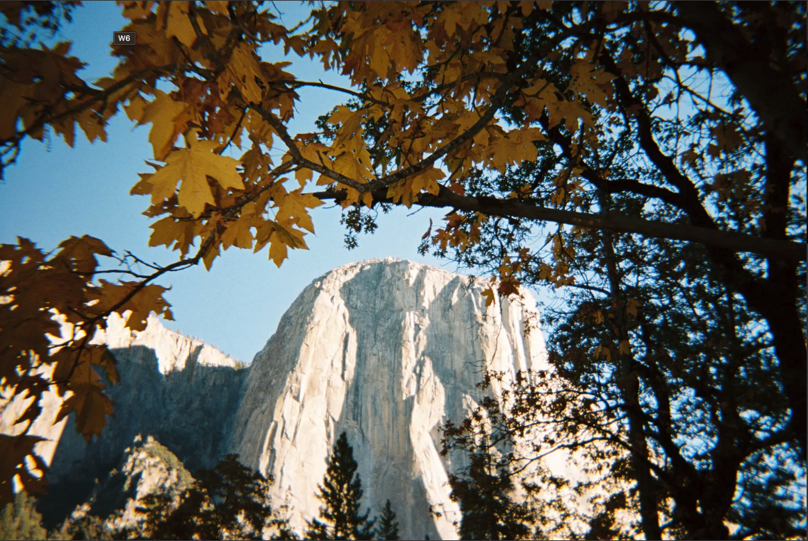 Looking up to a mountain in an American national Park, taken with the Moment Long Weekend 35mm Film Camera