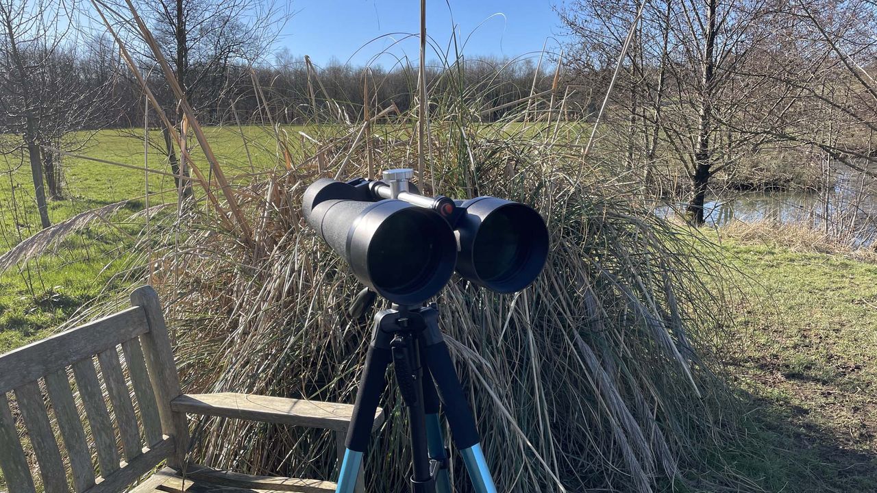 Celestron SkyMaster 25x100
