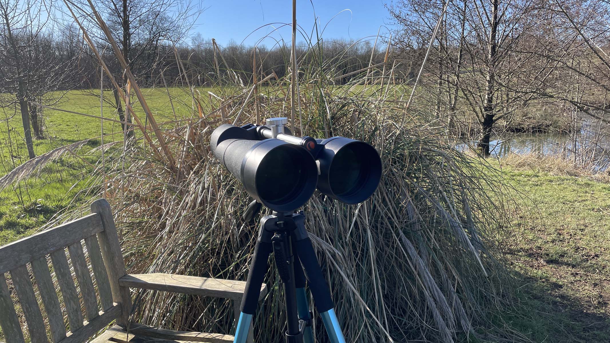 Celestron SkyMaster 25x100