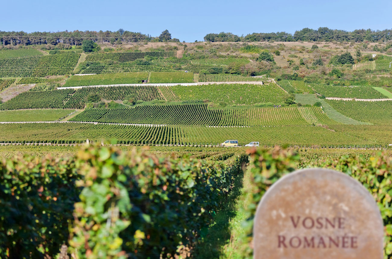 Burgundy vineyards, vosne-romanee