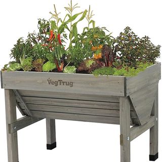 Amazon raised bed planter