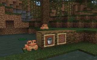 Minecraft Java Edition 1.19.1