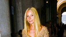 Image of Gwyneth Paltrow