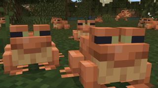 Minecraft - Several orange frogs in a swamp biome