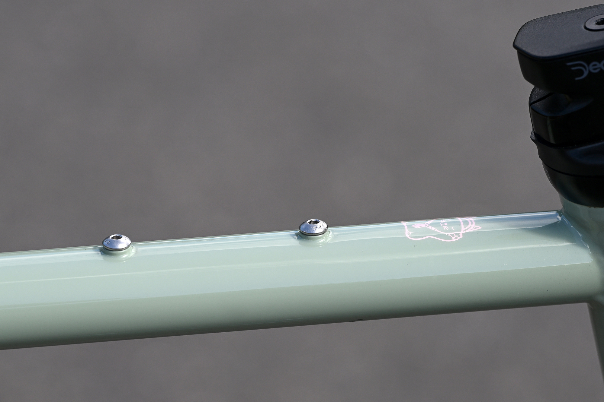 close up of the green top tube showing the two bento box mounts