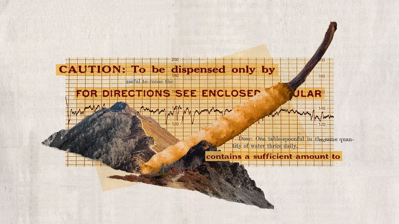 Photo collage of a cordyceps sinensis, Nepalese mountains, and prescription labels 