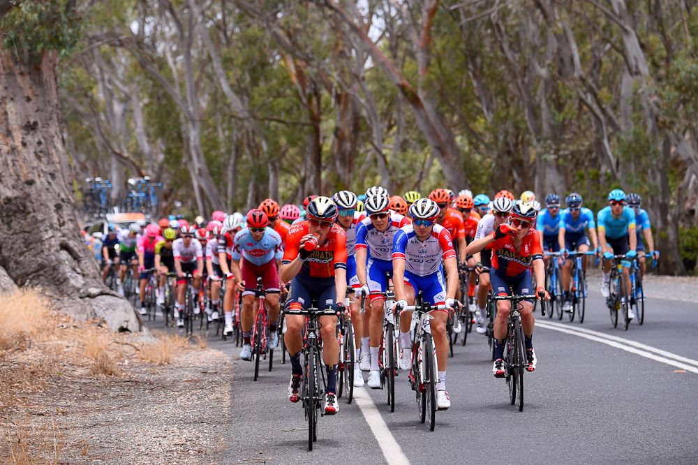 The Tour Down Under peloton