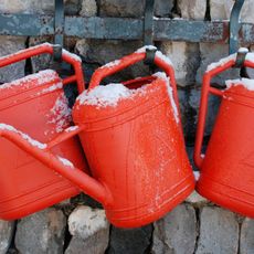 Three red watering cans covered in snow, hanging on a stone wall