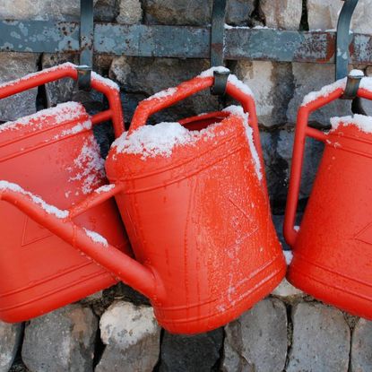 Three red watering cans covered in snow, hanging on a stone wall