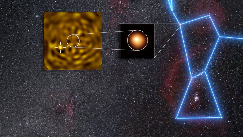 VLT images of Betelgeuse and its companion 