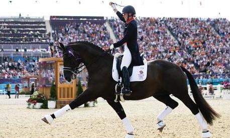 Dressage 6 nights