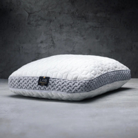 Luxome LAYR Customizable Pillow | $120 at Luxome