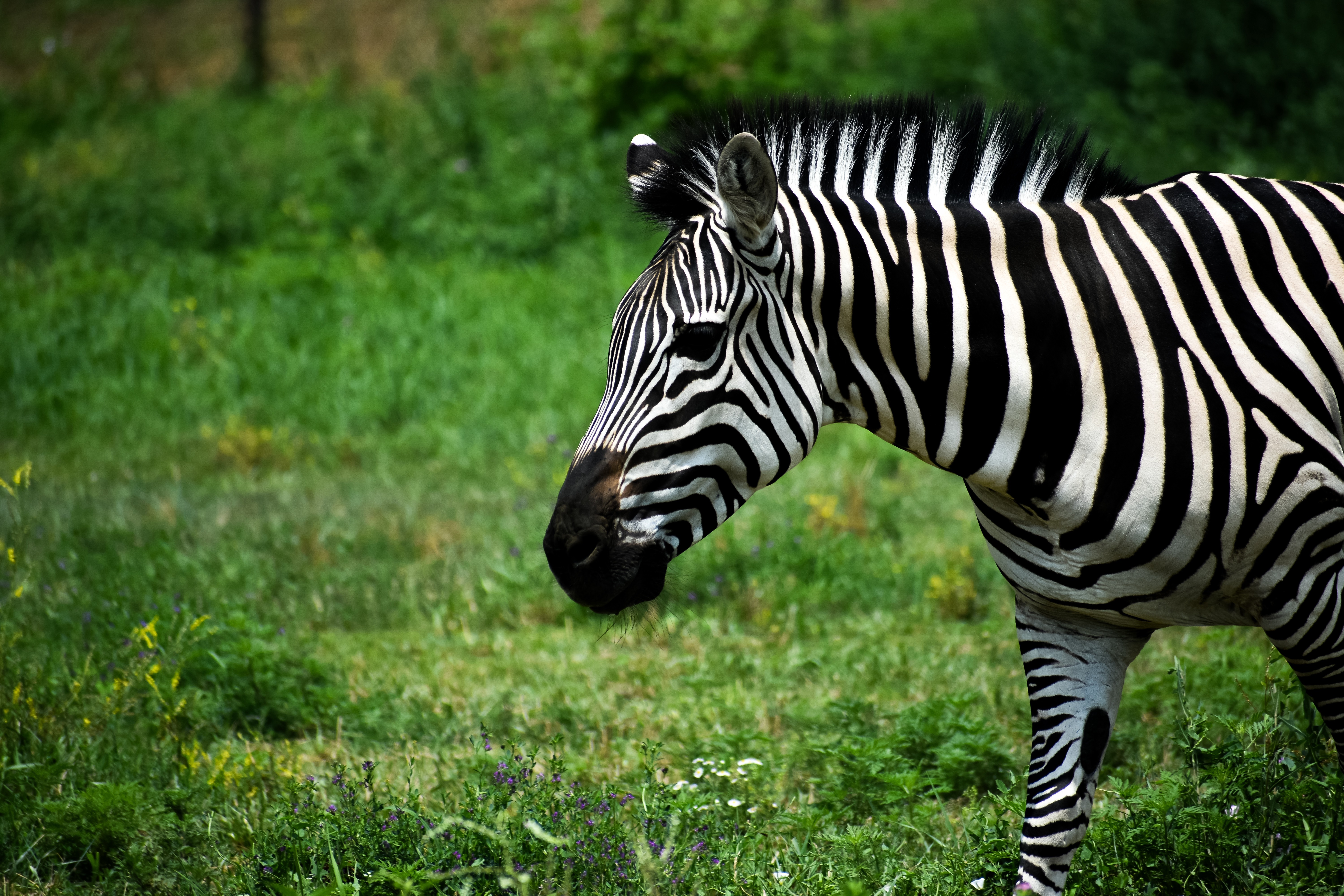 GuruShots - Nature&rsquo;s Masterpiece 2026