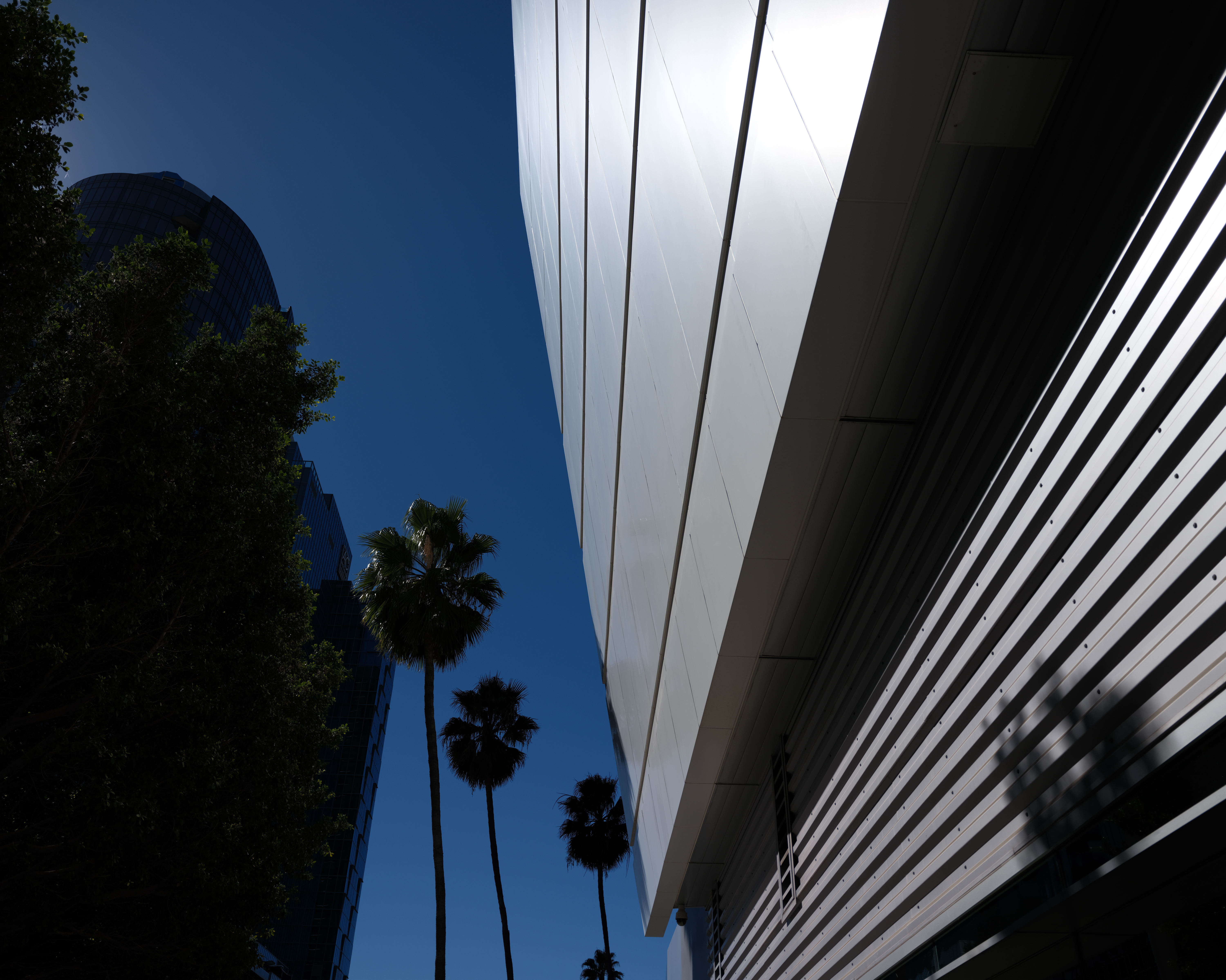 A sample image taken with the Fujifilm GFX100RF