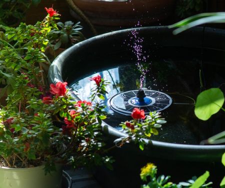 Solar fountain surrounded by planting