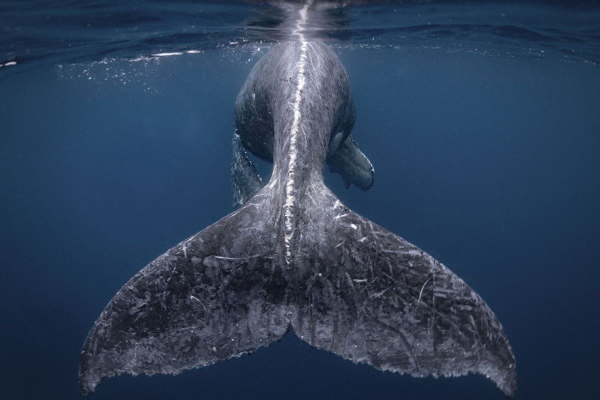 Grand Prize winner: Reiko Takahashi / National Geographic Travel Photographer of the Year Contest